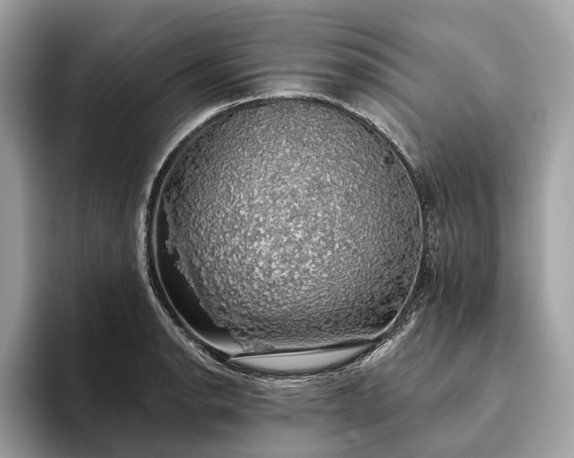 X0000093621134200710221541
