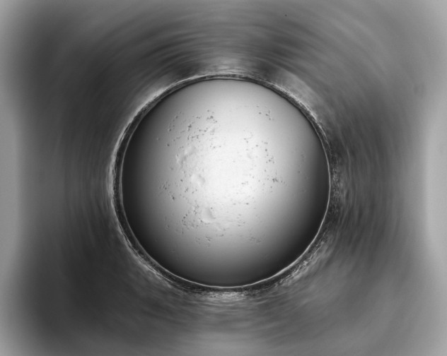 X0000093621135200710221541