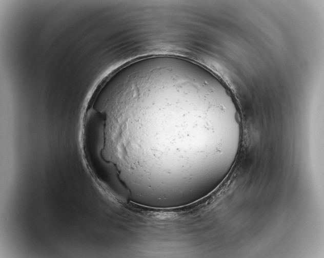 X0000093621136200710221541