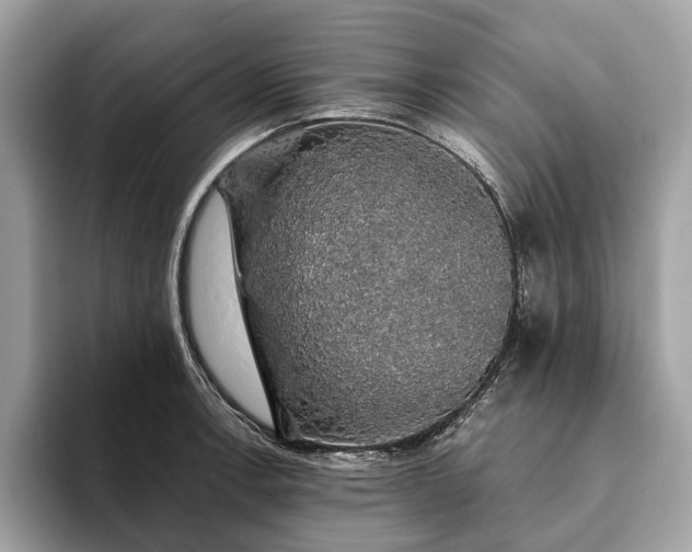 X0000093621138200710221541