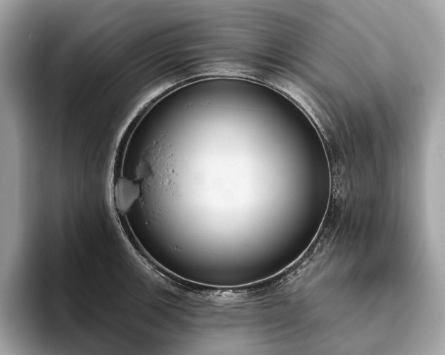 X0000093621139200710221541