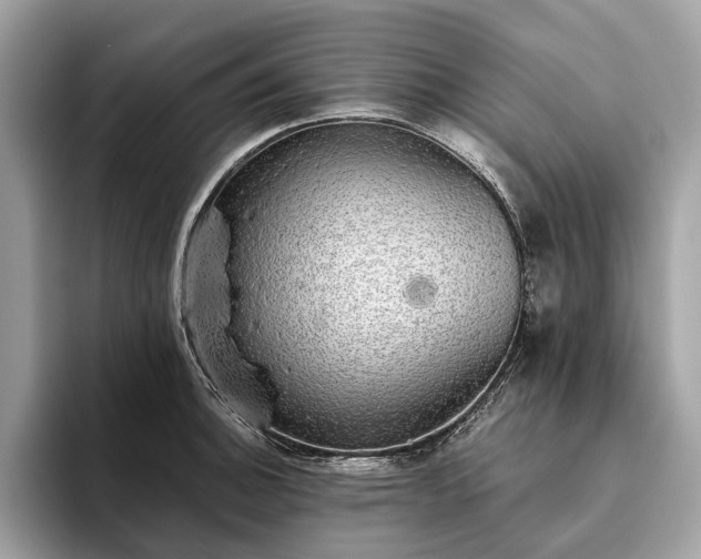 X0000093621140200710221541