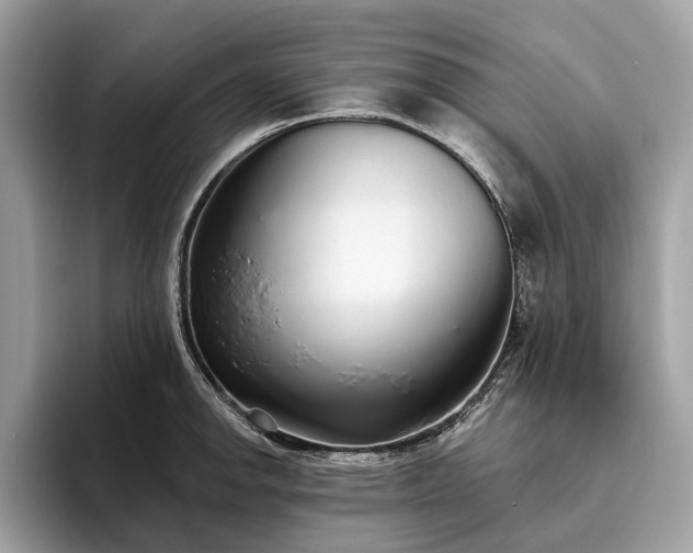 X0000093621142200710221541