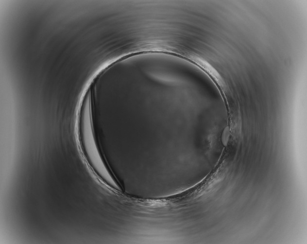 X0000093621144200710221541