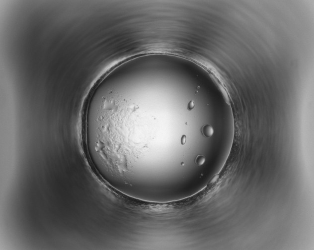 X0000093621147200710221541