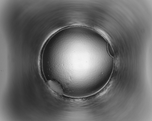 X0000093621149200710221541