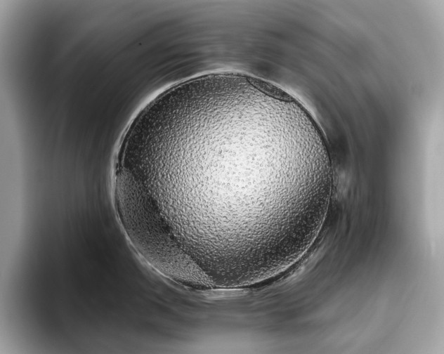 X0000093621151200710221541