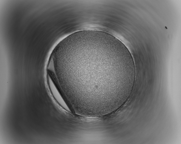 X0000093621152200710221541