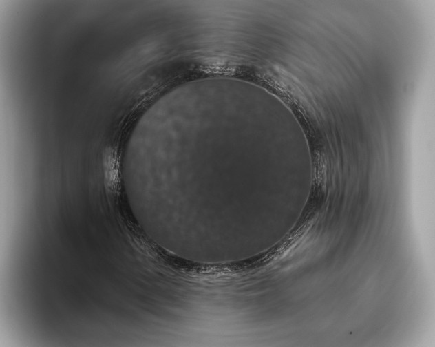 X0000093621154200710221541
