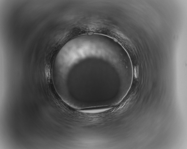 X0000093621155200710221541