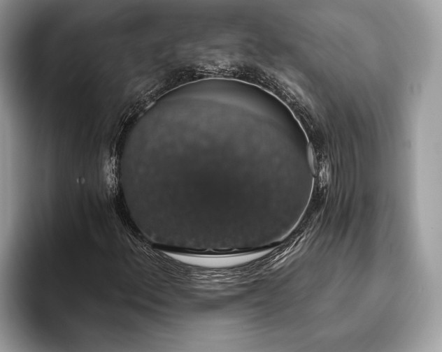 X0000093621156200710221541