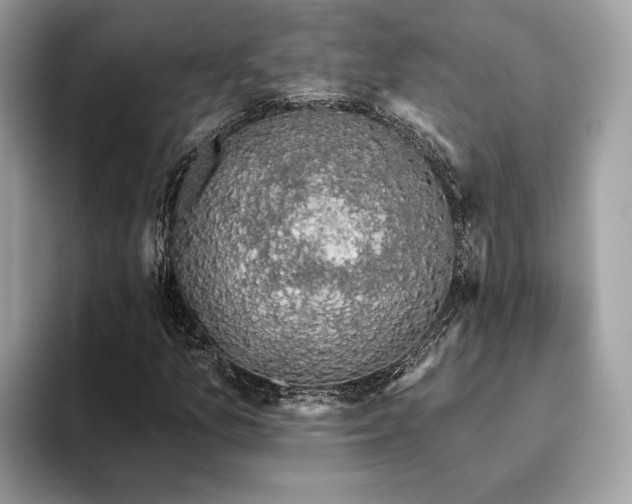 X0000093621157200710221541
