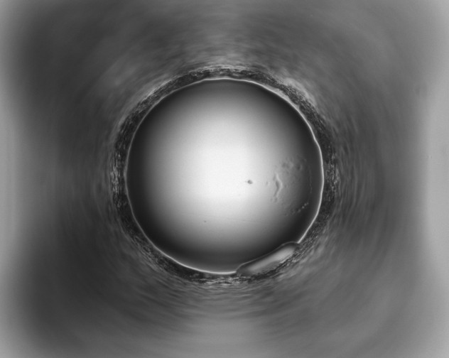 X0000093621159200710221541