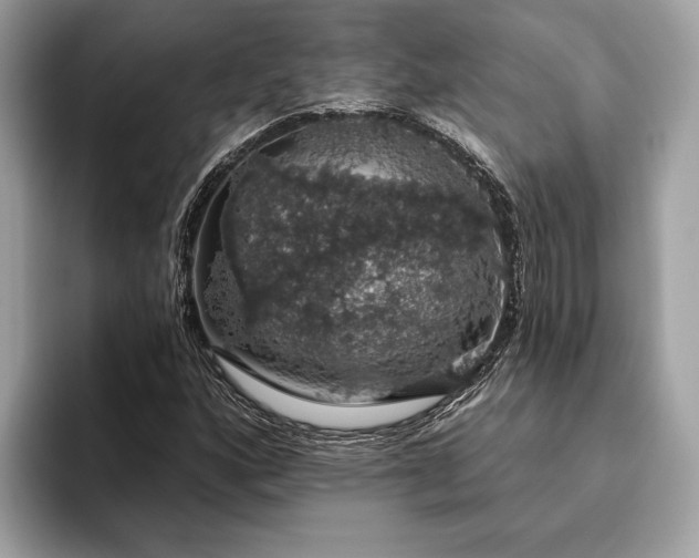 X0000093621160200710221541