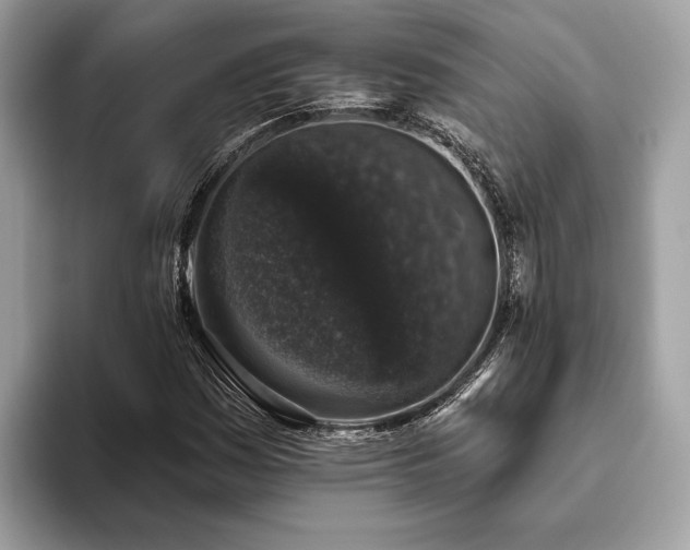 X0000093621161200710221541