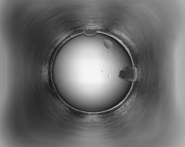 X0000093621162200710221541