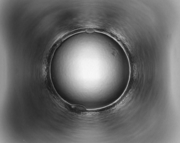 X0000093621163200710221541