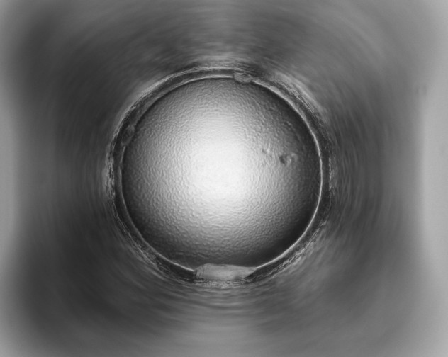 X0000093621164200710221541