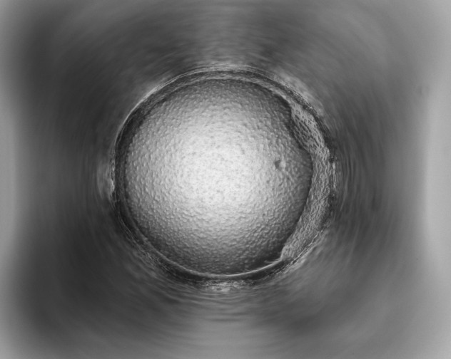 X0000093621165200710221541