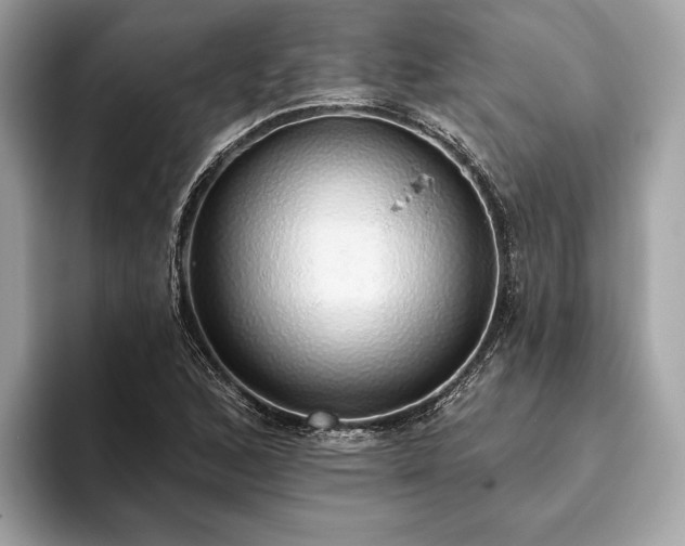 X0000093621168200710221541