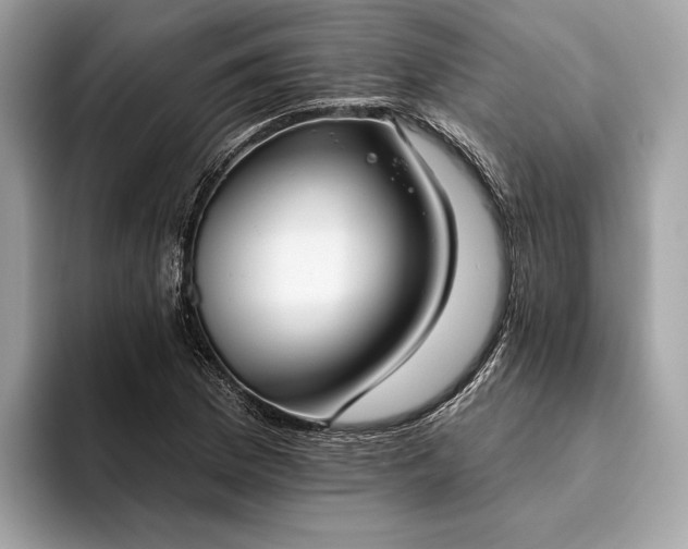 X0000093621169200710221541
