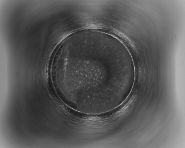 X0000093621170200710221541