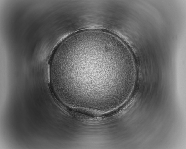 X0000093621171200710221541