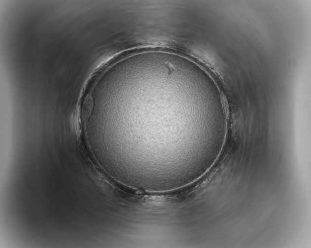X0000093621172200710221541