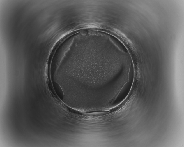 X0000093621174200710221541