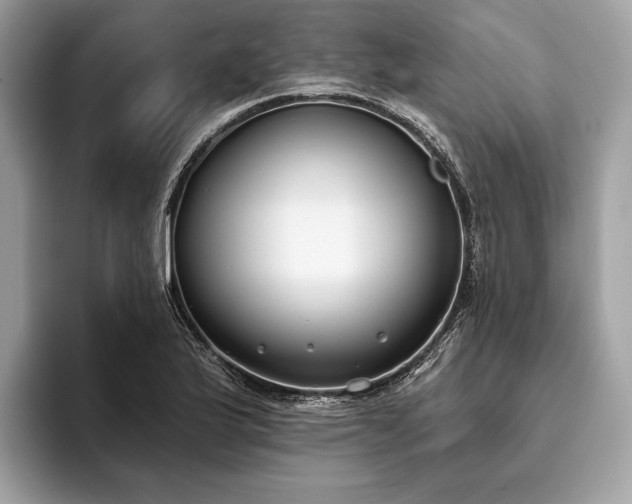 X0000093621175200710221540