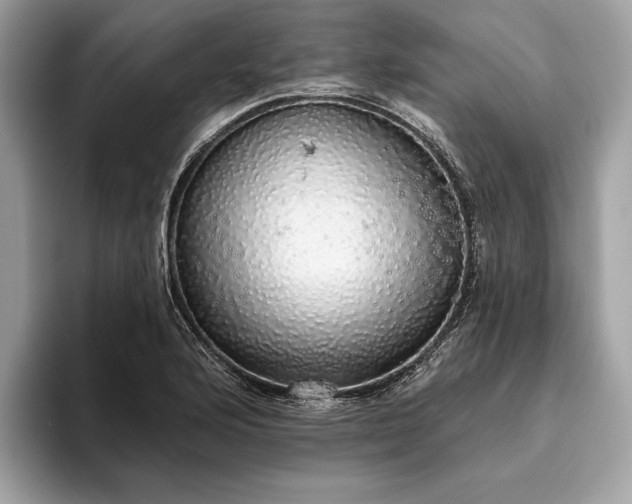 X0000093621176200710221540