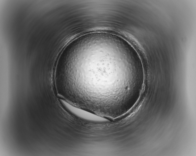 X0000093621177200710221540