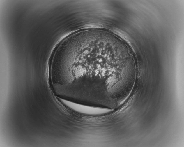 X0000093621179200710221540