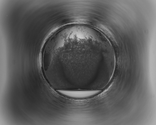 X0000093621180200710221540