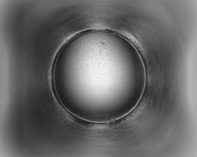X0000093621183200710221540