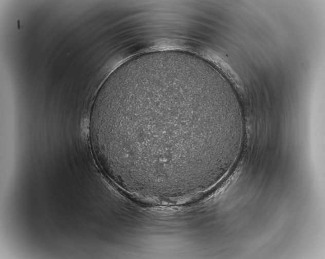 X0000093621185200710221540