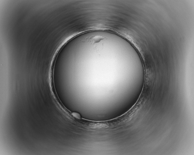 X0000093621187200710221540