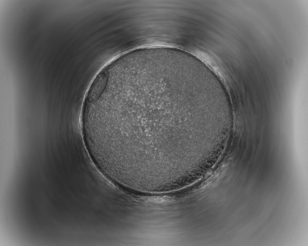 X0000093621189200710221540