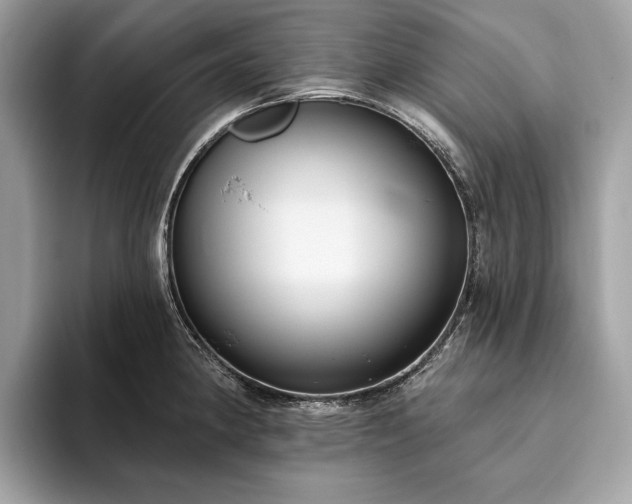 X0000093621190200710221540