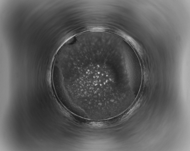 X0000093621194200710221540