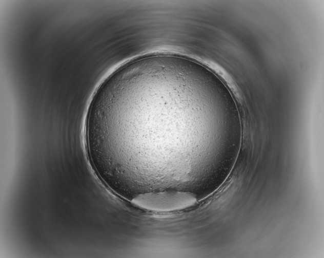 X0000093621199200710221540