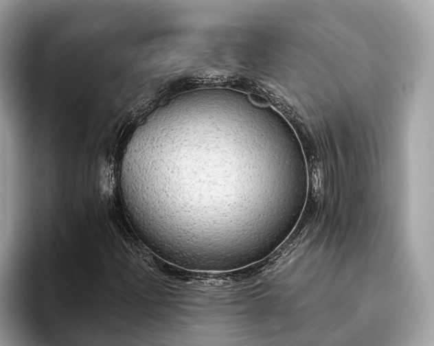 X0000093621204200710221540