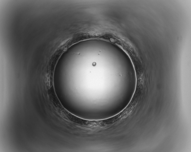 X0000093621205200710221540
