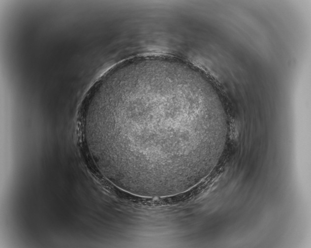 X0000093621208200710221540