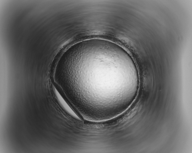 X0000093621210200710221540