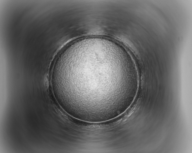 X0000093621212200710221540