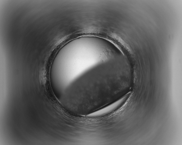 X0000093621213200710221540