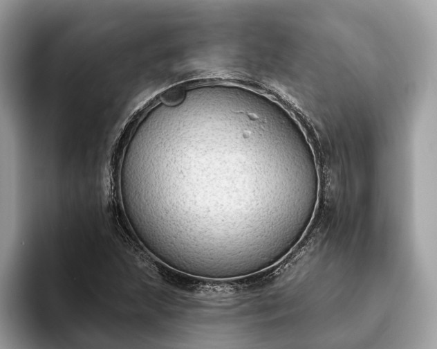 X0000093621215200710221540