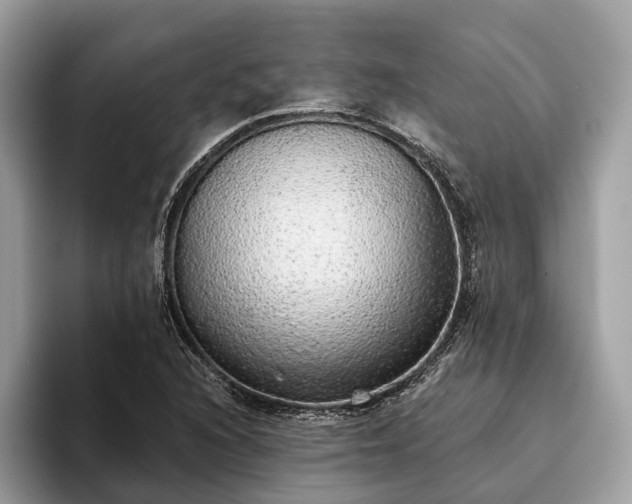 X0000093621216200710221540