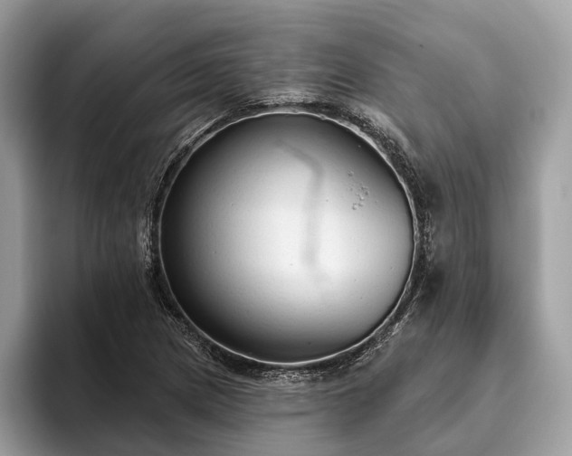 X0000093621217200710221540